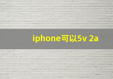 iphone可以5v 2a